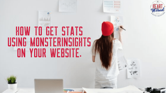 How to get stats using MonsterInsights on your website.