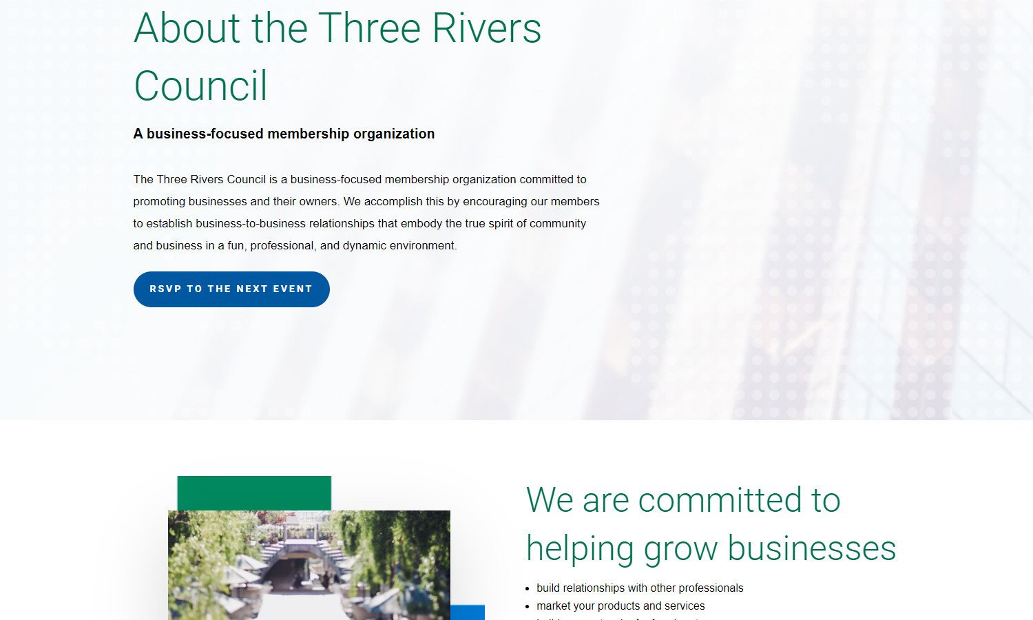 Three Rivers Council Web Design About Page
